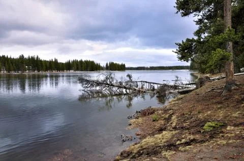 Lake in a forest Stock-Fotos