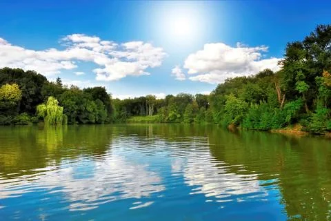 Lake in the forest Фото