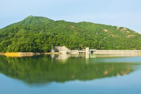 Lake in forest Stock Photos