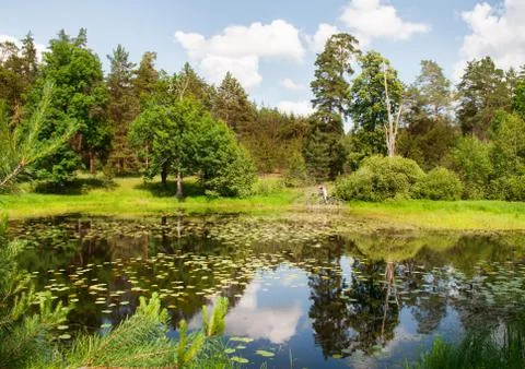 Lake in the forest Stock Photos
