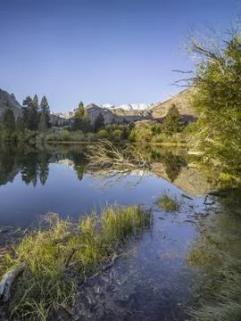 Lake in a forest Stock Photos