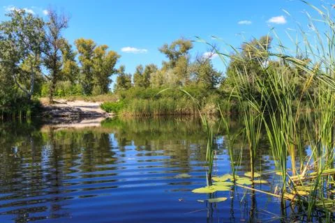Lake in forest Stock Photos