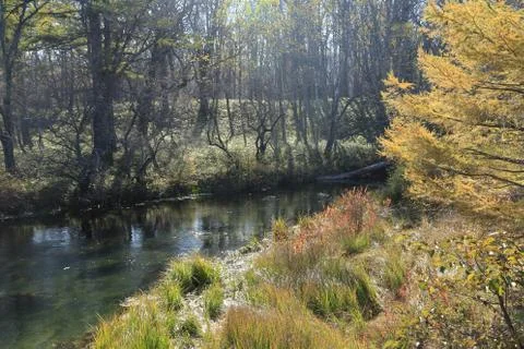 A lake in the forest Stock Photos