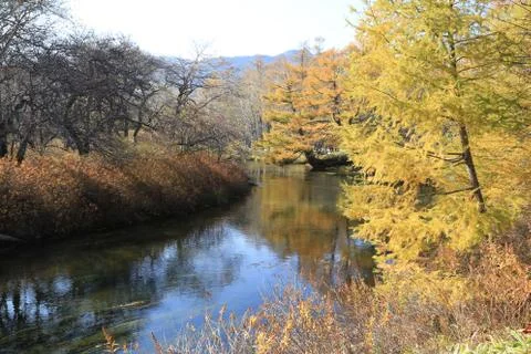 A lake in the forest Stock Photos