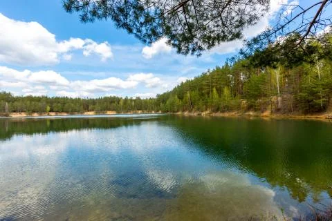 Lake in forest Stock Photos