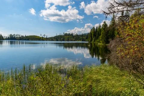 Lake in forest Stock Photos