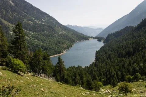 Lake in the Forest Stock Photos