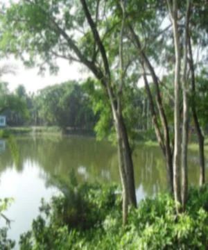 Lake in the forest Stock Photos