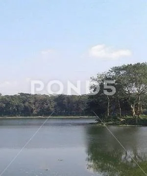 Lake in the forest Stock Photos