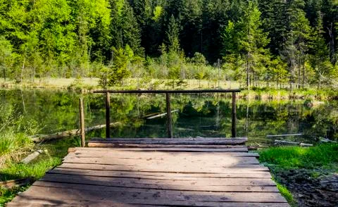 Lake in the forest Foto stock