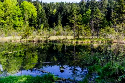 Lake in the forest Foto stock