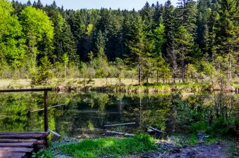 Lake in the forest Stock Photos