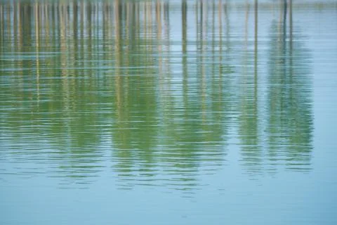 Lake in the forest Stock Photos