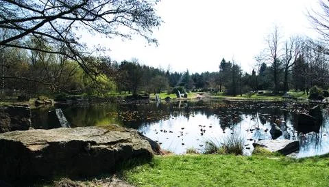 Lake in the forest. Stock Photos