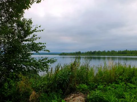 Lake in the forest 库存照片