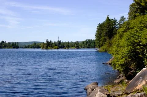 Lake in forest Stock Photos