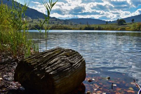 Lake in the forest Foto stock