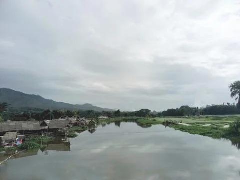 Lake in the forest Stock Photos