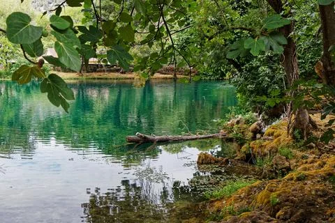 Lake in forest Stock Photos
