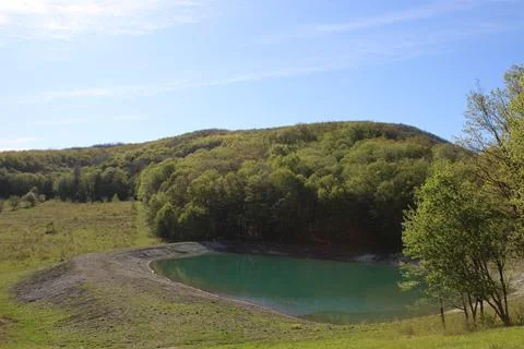 Lake in the forest Stock Photos