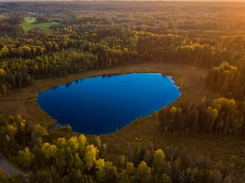 Lake in forest Stock Photos