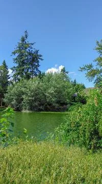 A lake in the forest Stock Photos