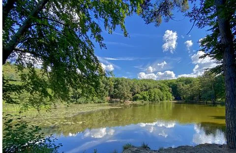 Lake in the forest Stock Photos