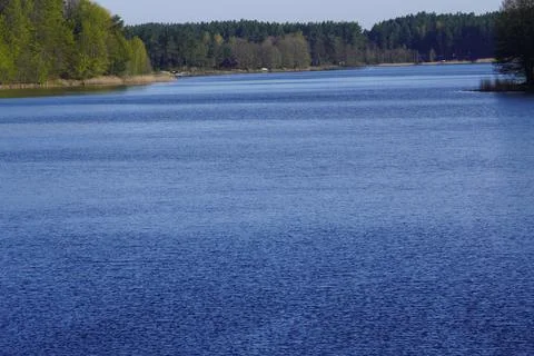 Lake with forest Stock Photos