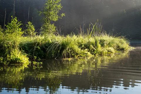 Lake in the forest Stock Photos
