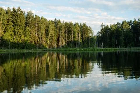 Lake in the forest Stock Photos
