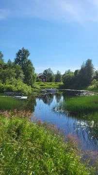 Lake in the forest Fotos de archivo