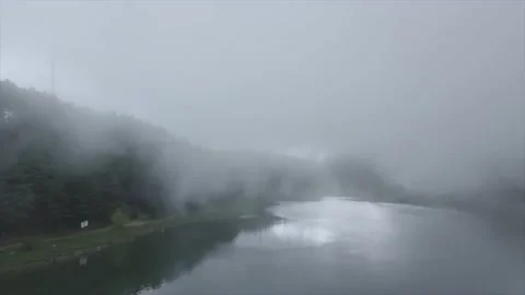 Lake by the forest with the reflection of the sun and a lot of mist Stock Footage 221514336