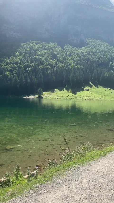 Lake in the forest in silence path around 動画素材 315163272