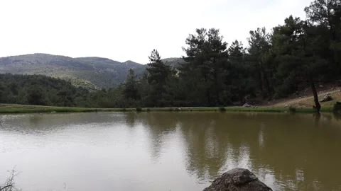Lake in the Forest with Smokes from Campfire Stock Footage 293809741