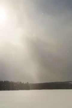 Lake with Forest with Snow Falling Stock Photos