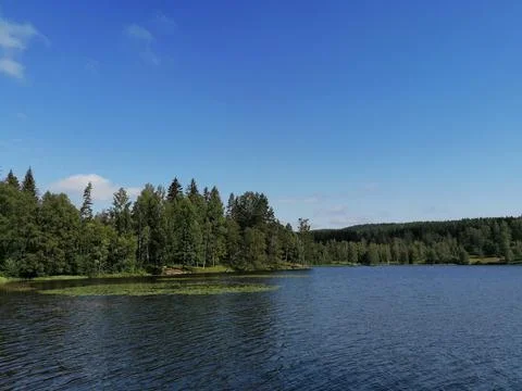 Lake in the forest in the spring Stock Photos