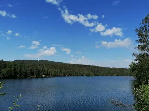 Lake in the forest in the spring Stock Photos