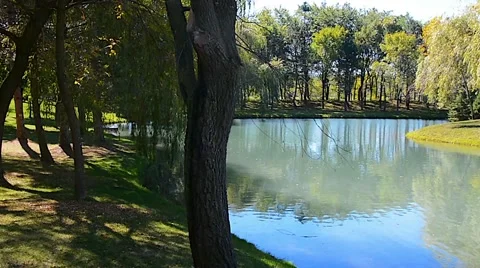Lake Forest Summer 01svv Stock Footage 47332776