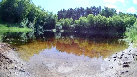 Lake in the forest in summer 3 Video stock 91636760