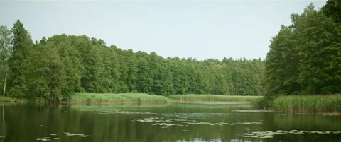 Lake in the forest summer anamorphic Stock Footage 297633359