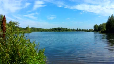 Lake in the forest in summer. The sky is reflected in the water. Stock Footage 204718651