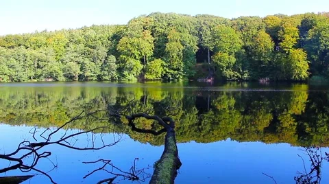 The lake in a forest in the sunshine Stock Footage 43381651