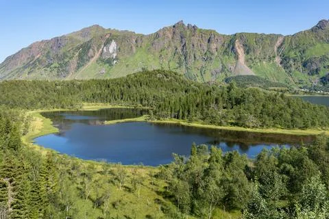 Lake in forest surrounded by mountains with clear sky, Lofoten Stock Photos