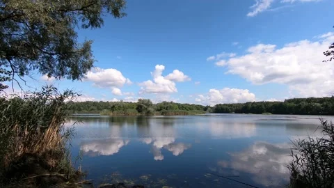 Lake in the forest is the third. 스톡 동영상 136670455