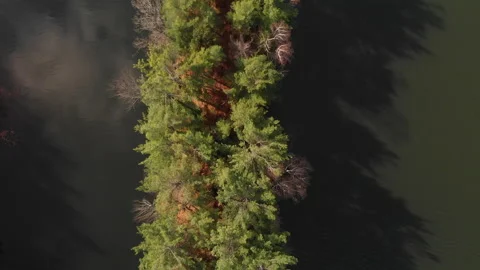 Lake forest trees on thin island aerial drone Stock Footage 169447937