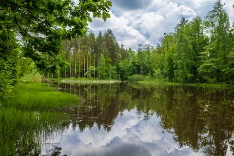 The lake in the forest under storm clouds. Stock Photos