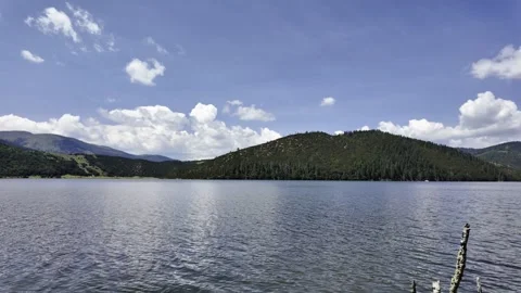 Lake with Forested Hills, Dead Trees and Blue Sky Stock Footage 340131228
