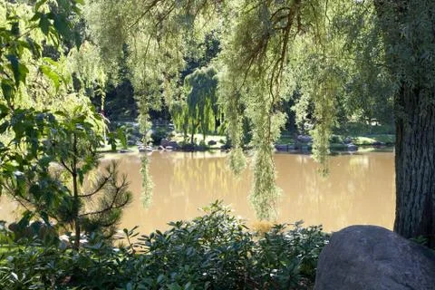 The lake in a frame from foliage Stock-Fotos