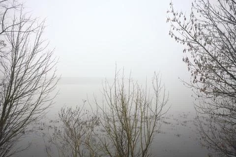 Lake framed by bare trees Stock Photos