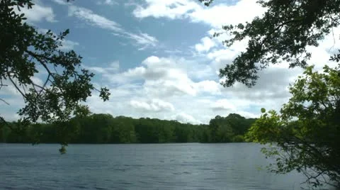 Lake framed by trees Stock Footage 12228313